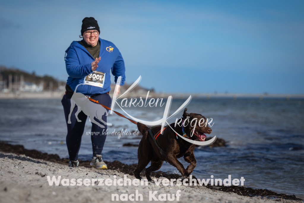 1334_ZZ91991 | kk-dogfotos
