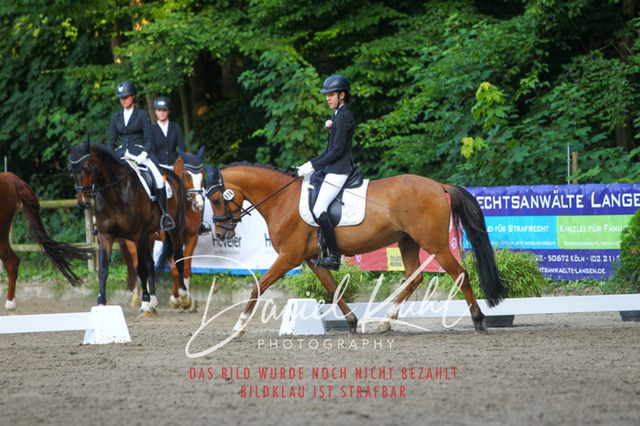 DKP43197 | Turniersportfotografie; Pferdefotografie; Dressurfotografie