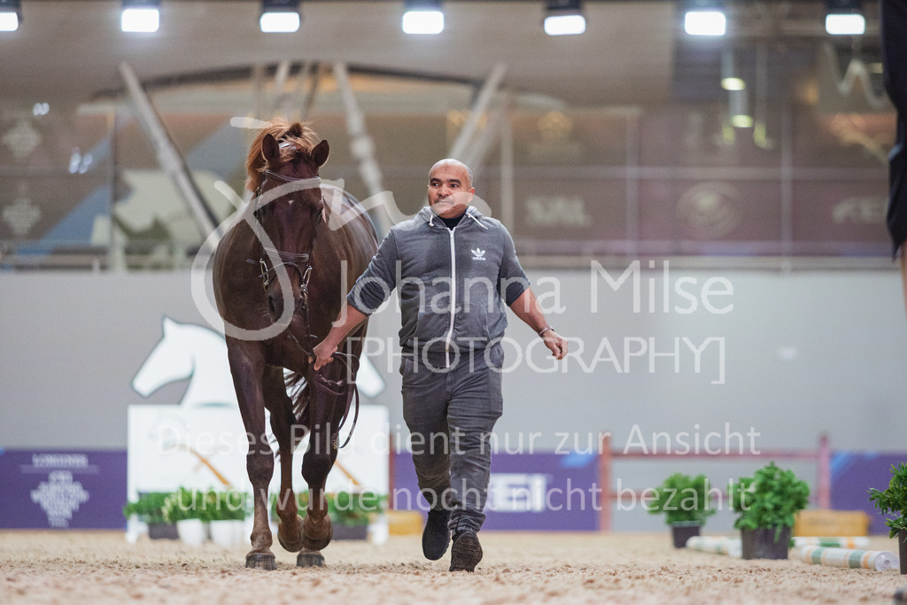 230215_Riyadh_Vet-Check-115 | Deine schönsten Turniermomente als professionelle Fotos! Entdecke hochwertige Pferdesport-Fotografie im Online-Shop. Jetzt Fotos finden & bestellen!