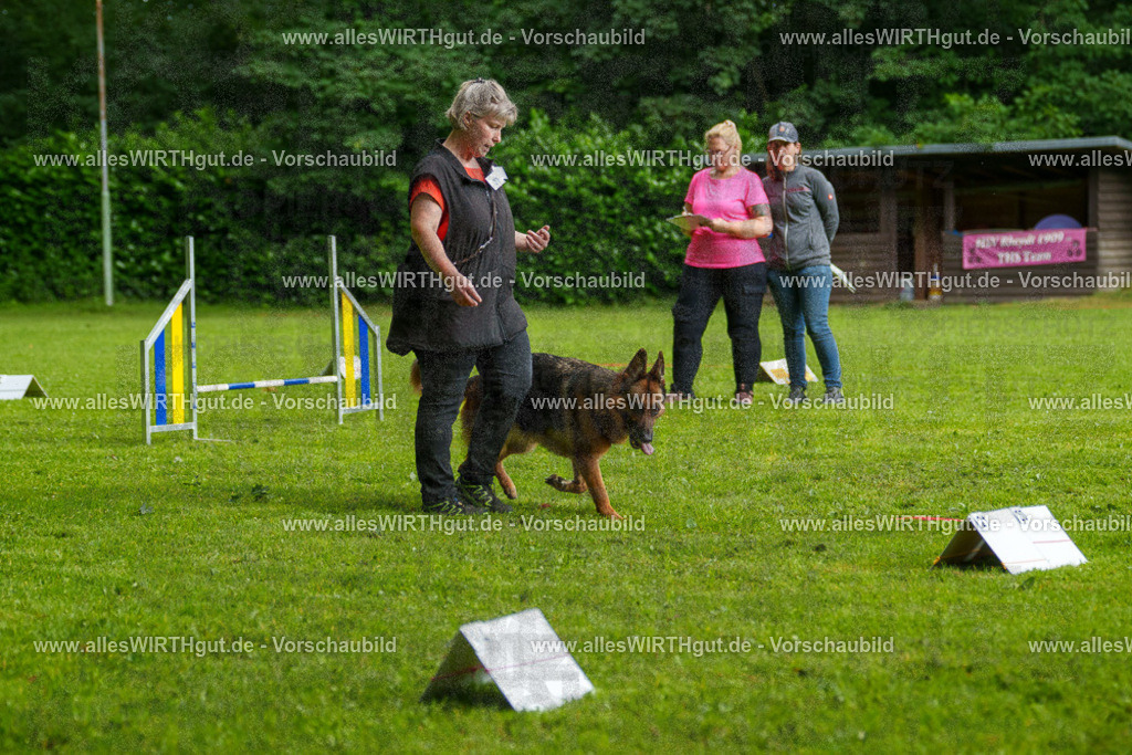 @allesWIRTHgut_Tierfotografie - www.allesWIRTHgut.de - 7R502498 | Professionelle Tierfotografie in Mönchengladbach von Daniel Wirth (allesWIRTHgut). Liebevolle & natürliche Bilder von Hunden & Katzen für unvergessliche Erinnerungen.