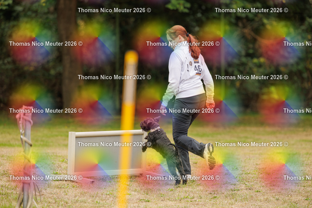 Thomas_Nico_Meuter(C)_23. August 2026_223A9713 | Bild von Thomas Nico Meuter - Realisiert mit Pictrs.com