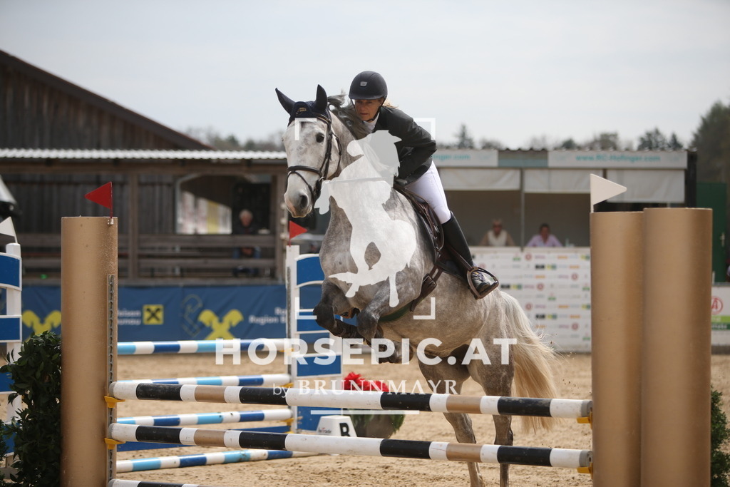PP017188 | Willkommen bei Brunnmayr - Design & Fotografie – Ihrem Spezialisten für Reitturniere und Pferdeveranstaltungen in Oberösterreich, Salzburg und Bayern! Seit über 17 Jahren sind wir leidenschaftlich dabei.