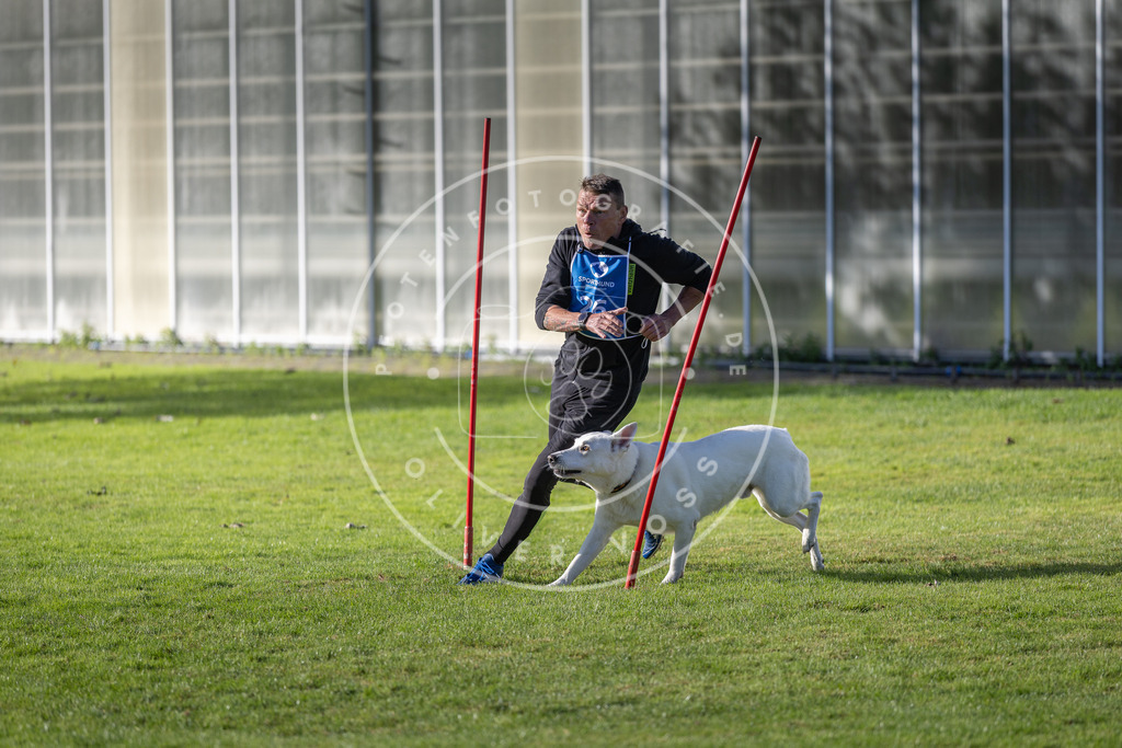 Pfotenfotografie.de_DV3A3219 | Hundefotografie, Tierfotograf, Pfotenfotografie, Fotoshooting Hund, Hunde Portrait, Hundesport, Hundeportraits, Heideshooting, Hunde, Sportfotograf, Hundefotograf, Turnierhundsport, THS, canicross - Realisiert mit Pictrs.com