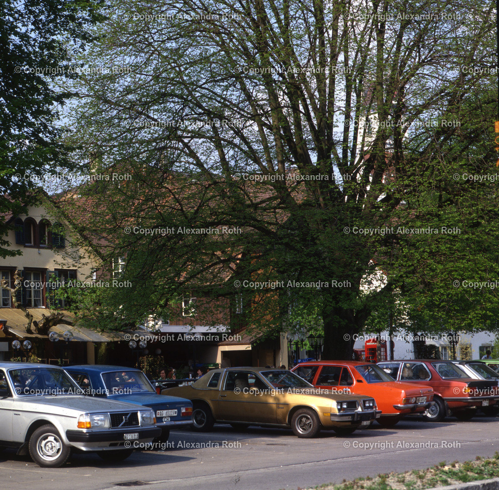 Aarau_791 | onlineshop - Realisiert mit Pictrs.com