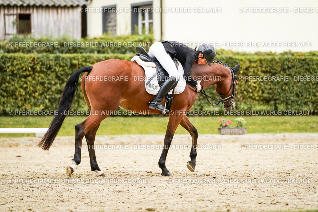 DSC07996 | Pferdegrafie