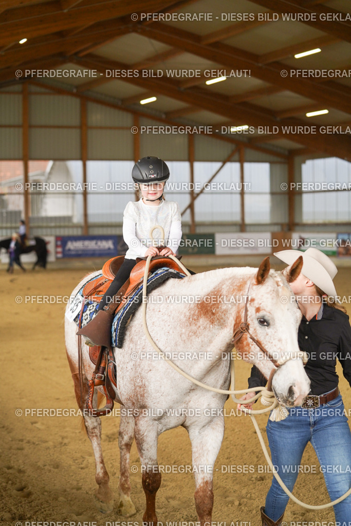 DSC00588 | Pferdegrafie