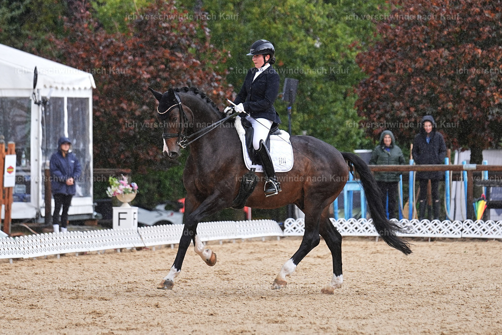 05-244-DRESSUR M_  -Marixx-4963 | working equitationturnier fotograf videograf stoibphotography marixx film working equitation deutschland reitsport turnierfotografie eventfotografie equestrian events