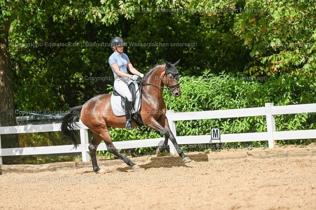 20230715_02_Dressurreiterprüfung Kl.L_0410 | equistock
