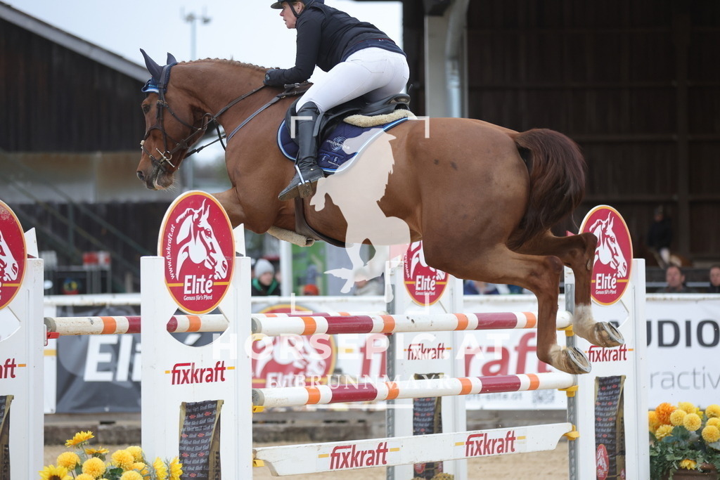 0P6A5372 | Willkommen bei Brunnmayr - Design & Fotografie – Ihrem Spezialisten für Reitturniere und Pferdeveranstaltungen in Oberösterreich, Salzburg und Bayern! Seit über 17 Jahren sind wir leidenschaftlich dabei.