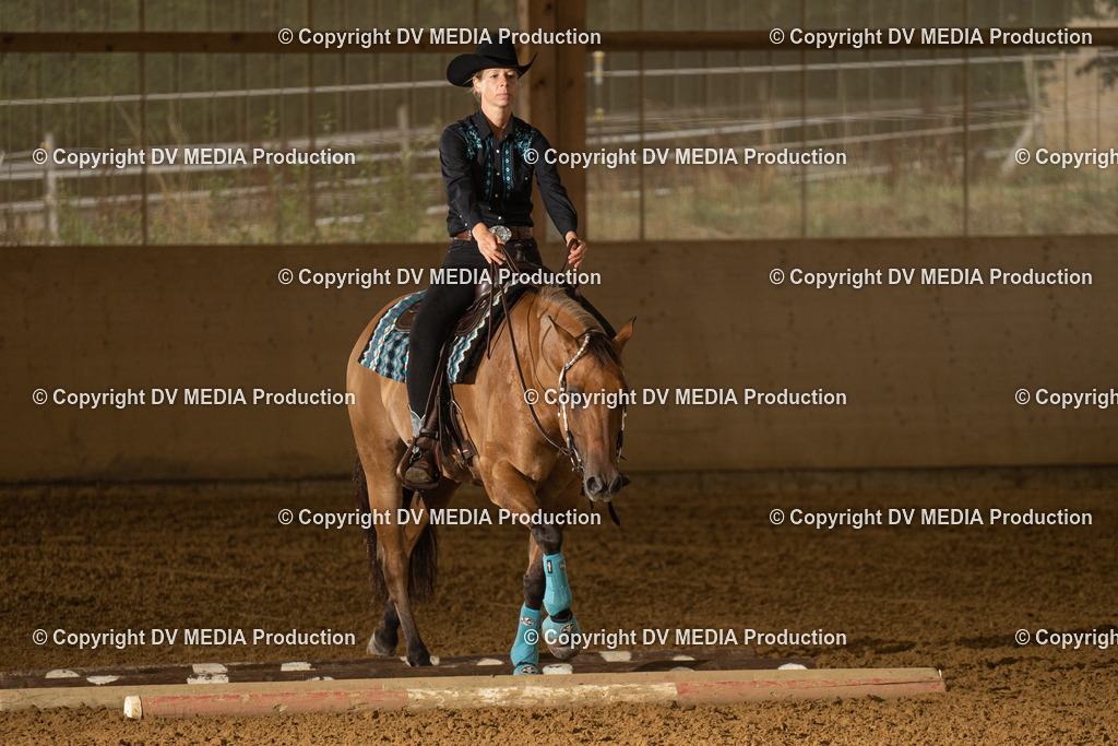 LAU00567 | dv-media-shop - Realisiert mit Pictrs.com