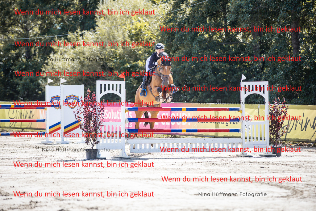 BK1A6582 | Turnierbilder Turnierfotos Nina Hüffmann Turnierfotografie Pferdefotografie Tierzeichnung Haustierzeichnung Pferdezeichnung Hundezeichnung Videograf  - Realisiert mit Pictrs.com