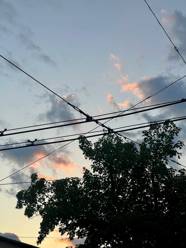 IMG_7416 | ace - Realisiert mit Pictrs.com