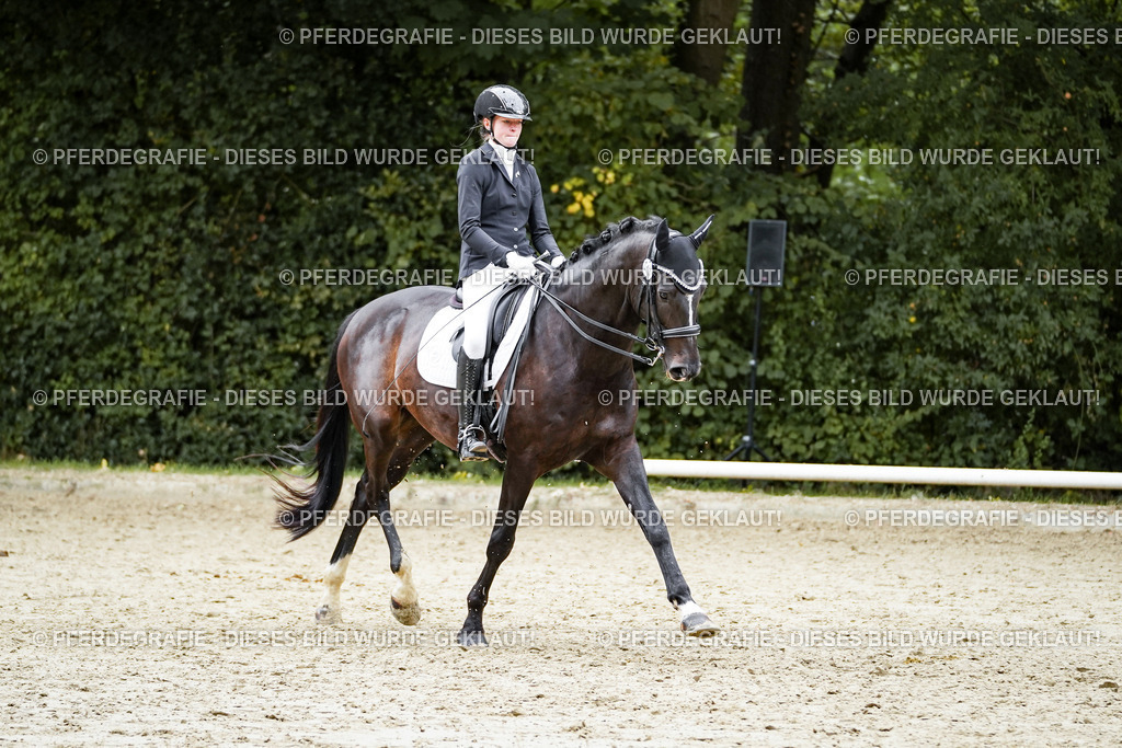 DSC01241 | Pferdegrafie