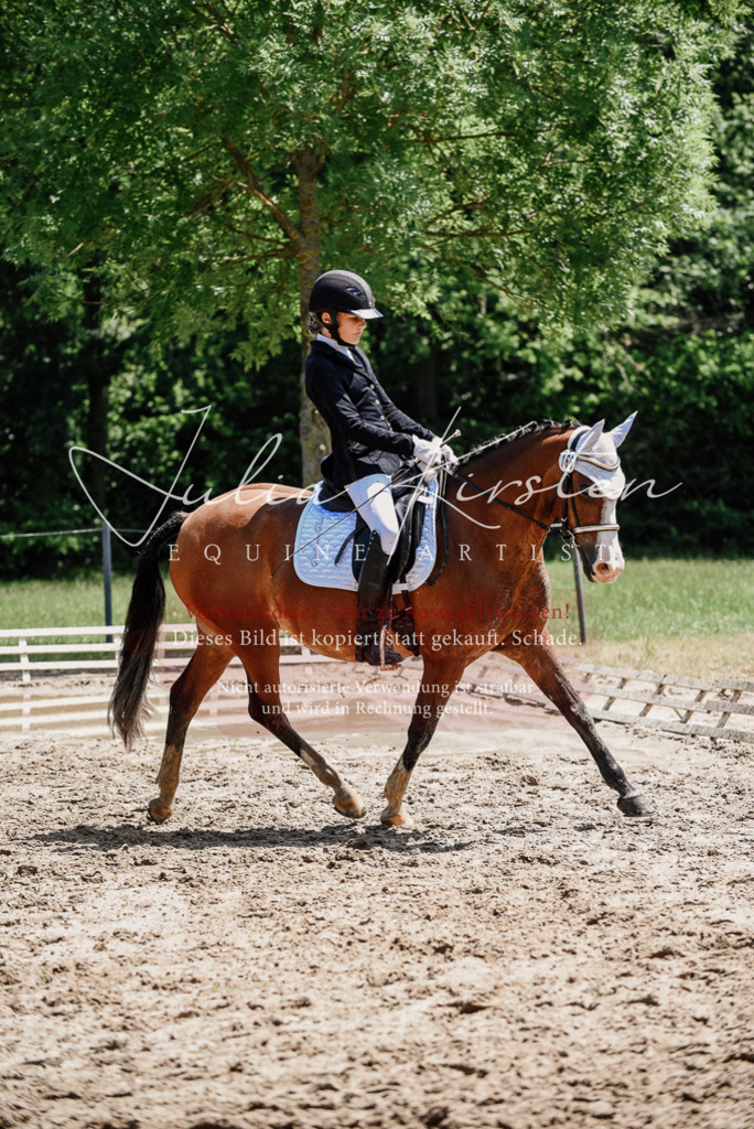 DSC_1915 | Pferde- und Turnierfotografie in Westsachsen. Pferdeportraits, Auftragszeichnungen und intuitive Kunst.