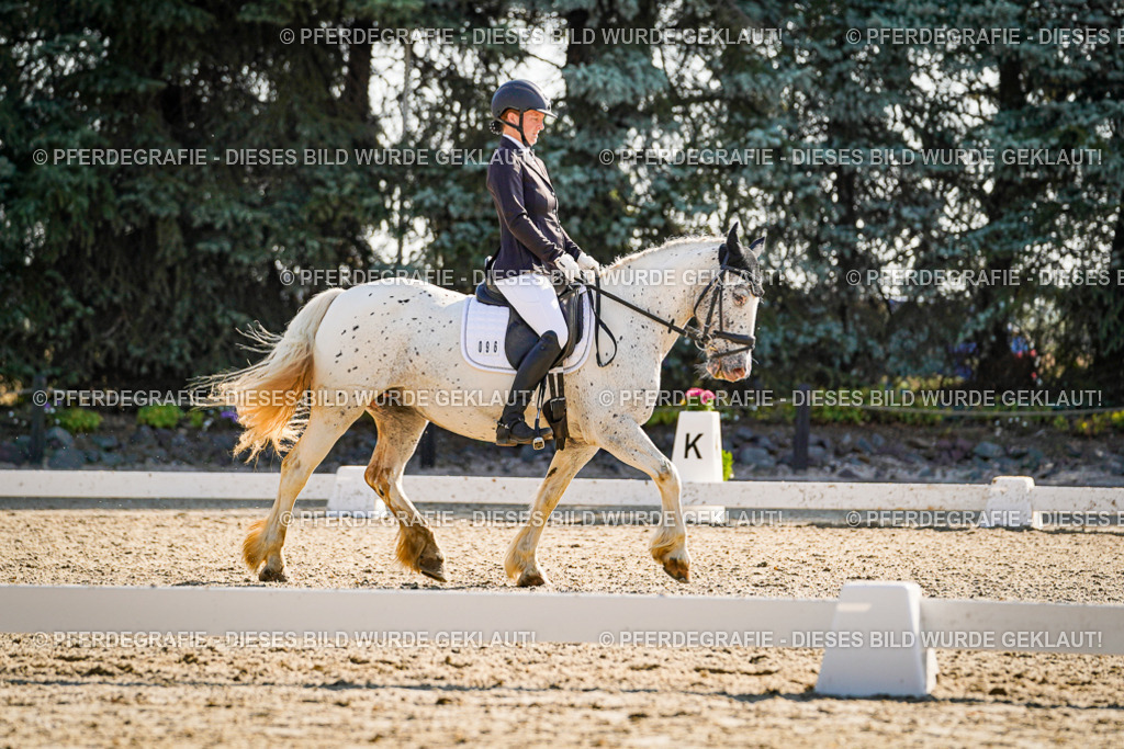 DSC09441 | Pferdegrafie