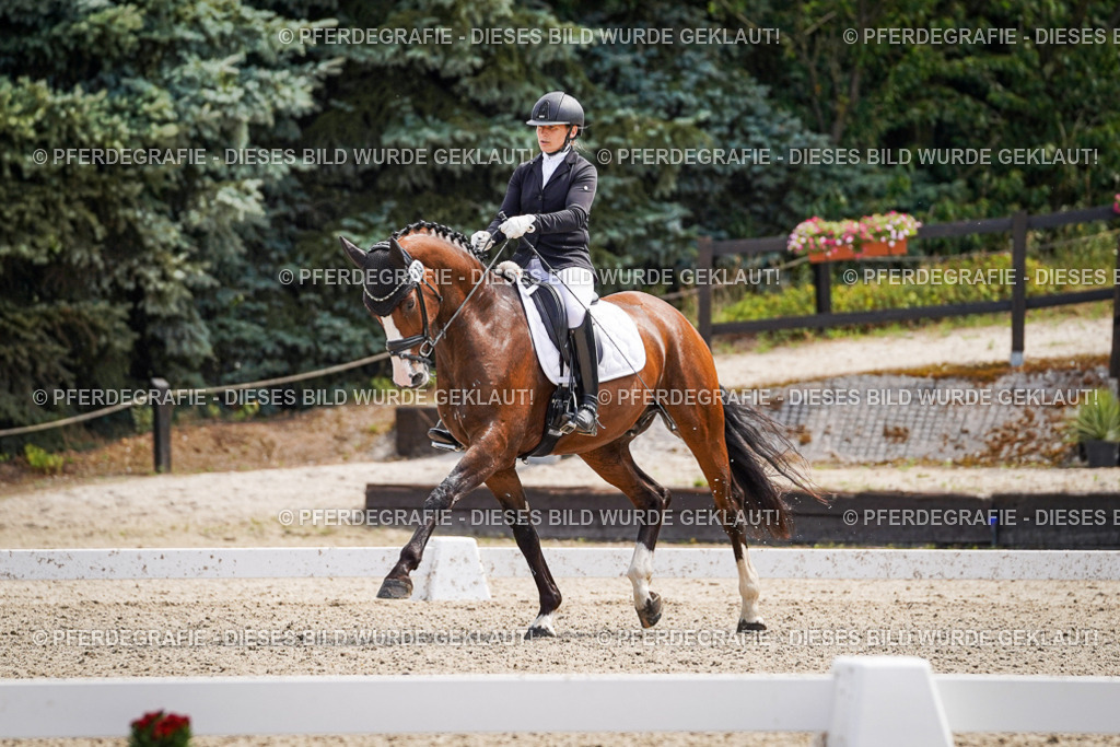 DSC00338 | Pferdegrafie