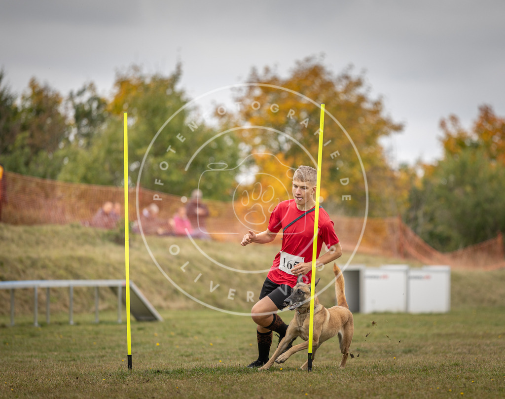 Pfotenfotografie_DV3A5268 | Hundefotografie, Tierfotograf, Pfotenfotografie, Fotoshooting Hund, Hunde Portrait, Hundesport, Hundeportraits, Heideshooting, Hunde, Sportfotograf, Hundefotograf, Turnierhundsport, THS,  - Realisiert mit Pictrs.com
