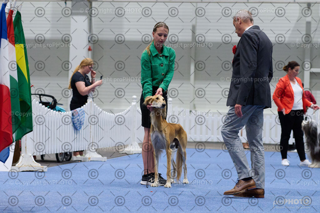 202406_ÖKV-IHA-Tulln24_DSC_3399 | proPHOTO - Realisiert mit Pictrs.com
