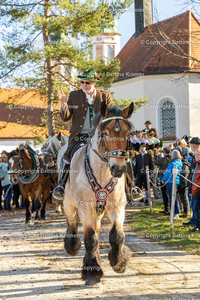 LBT25-1420 | foto-bettina-krinner - Realisiert mit Pictrs.com