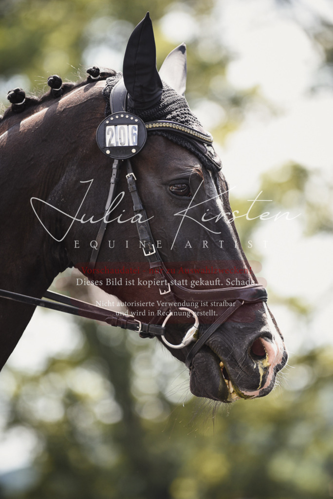 DSC_4257 | Pferde- und Turnierfotografie in Westsachsen. Pferdeportraits, Auftragszeichnungen und intuitive Kunst.