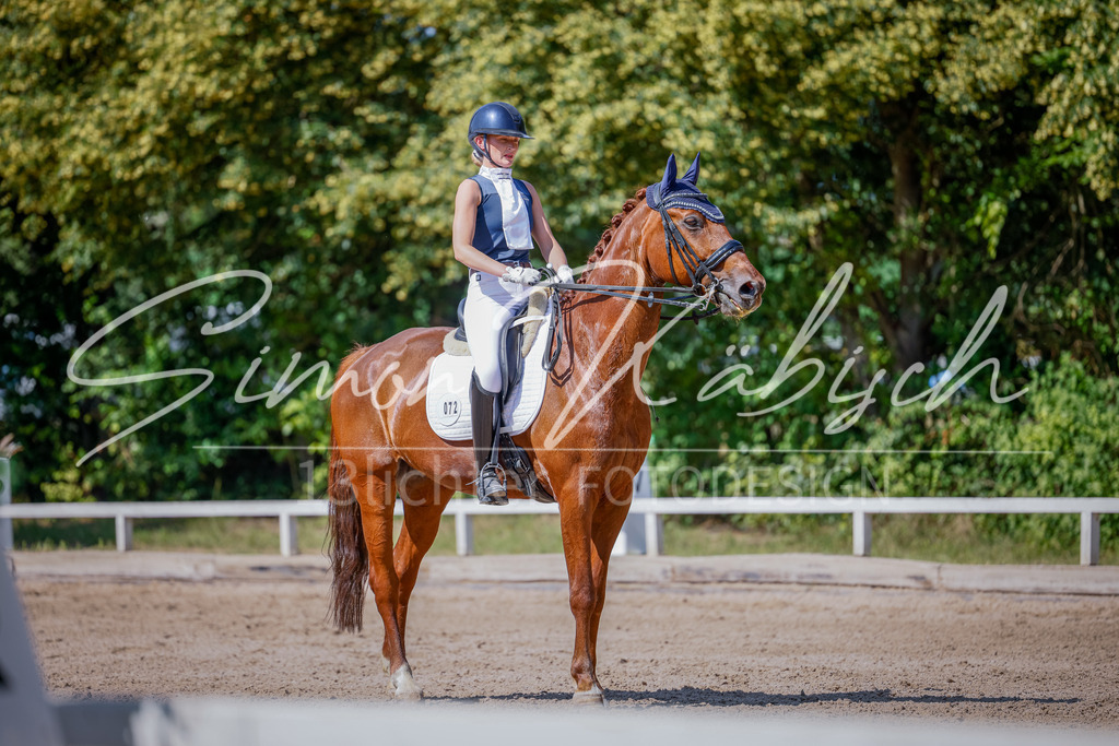 20250621-_3LI9590 | Tierfotografie Pferde, Hunde, Katzen, Haustiere.
Turnierfotografie Reitturniere, Reiten, Springreiten, Dressur in Hanau, dem Main-Kinzig-Kreis und dem Rhein-Main- Gebiet um Frankfurt
