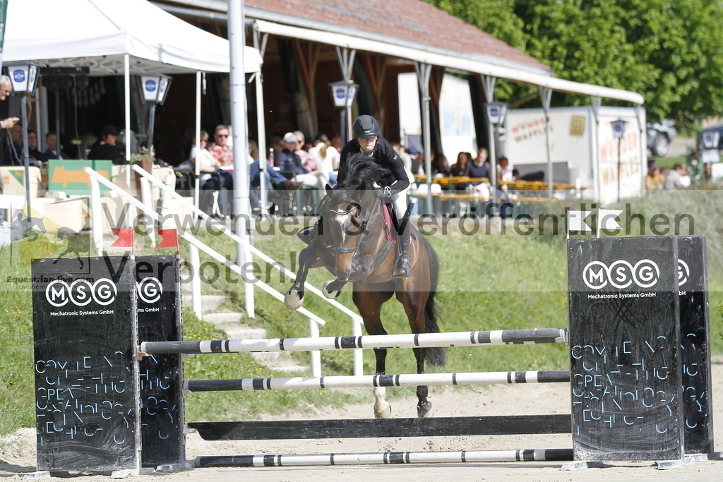 _MG_8627 | equestrian-live-com