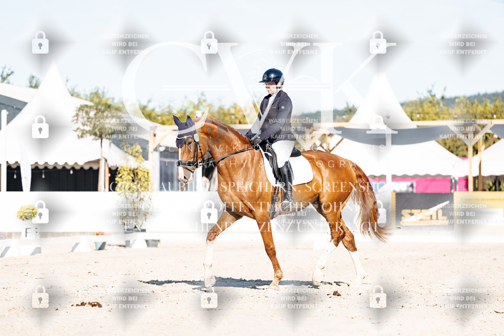 CK907653 | Turnierfotografie Pferdefotografie Trier Rheinland-Pfalz Pferdesport Reitsport Tierfotografie Sportfotografie Pferdevideo Pferdevideografie Equestrianvideography equestrianphotography  - Realisiert mit Pictrs.com