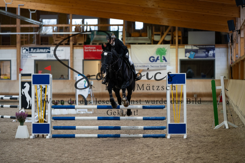 A7V03139 | Pferdefotograf