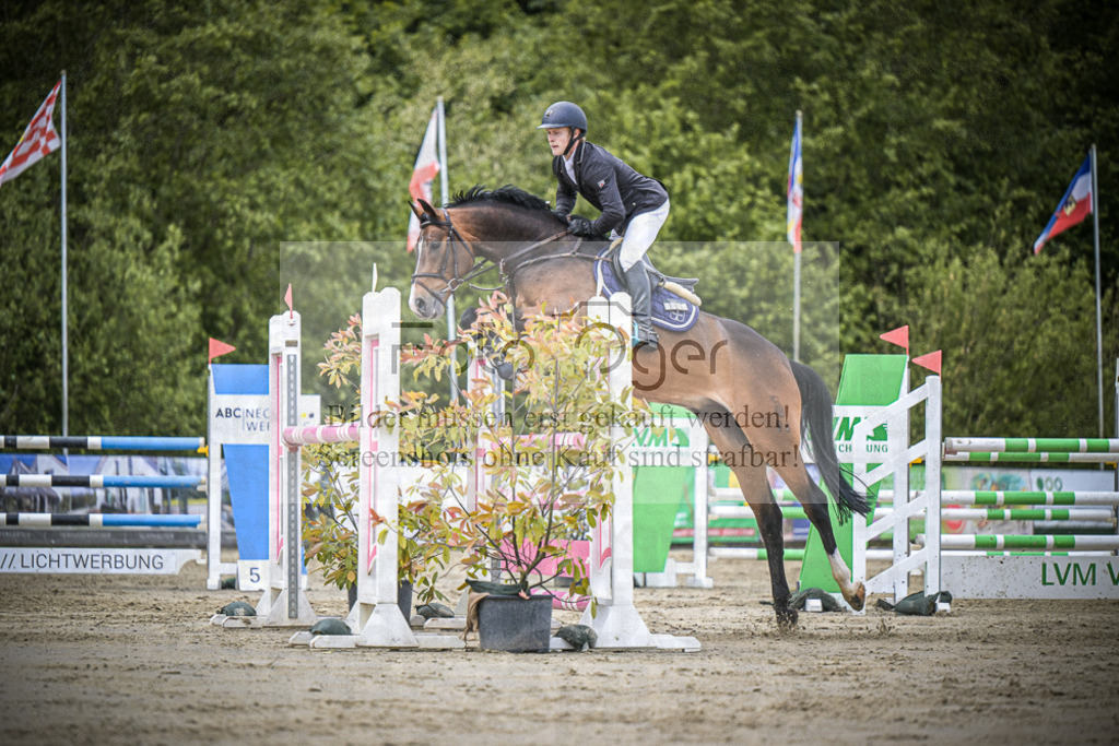 DOS_5177 | Entdecke hochwertige Reitturnierfotos von Foto Oger. Professionell, emotional und authentisch – jetzt Lieblingsmomente im Shop bestellen.Deutschlandweite Turnierfotografie. - Realisiert mit Pictrs.com