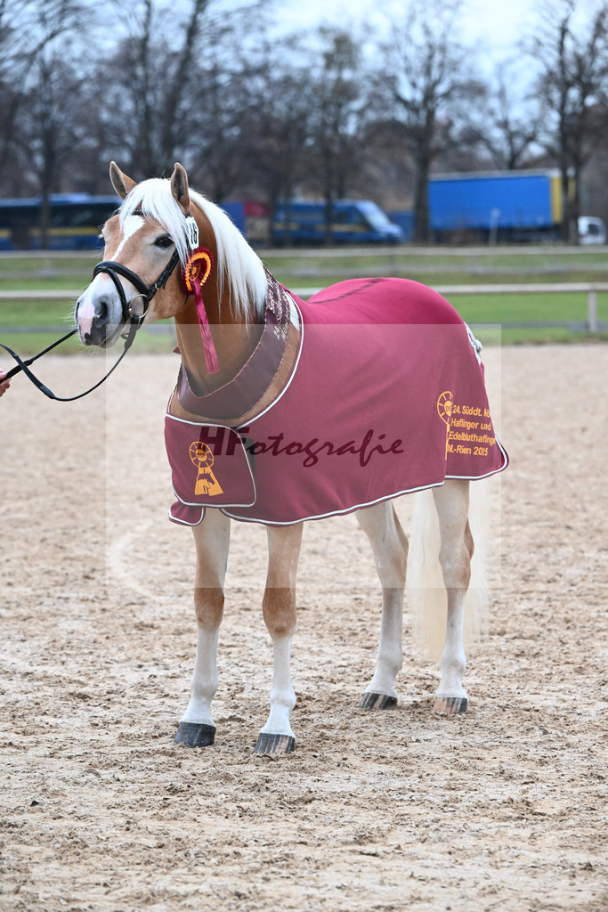 Kat-Nr. 16 nn v. Neustart_Obermeyer_48251957 | hf-fotografie - Realisiert mit Pictrs.com