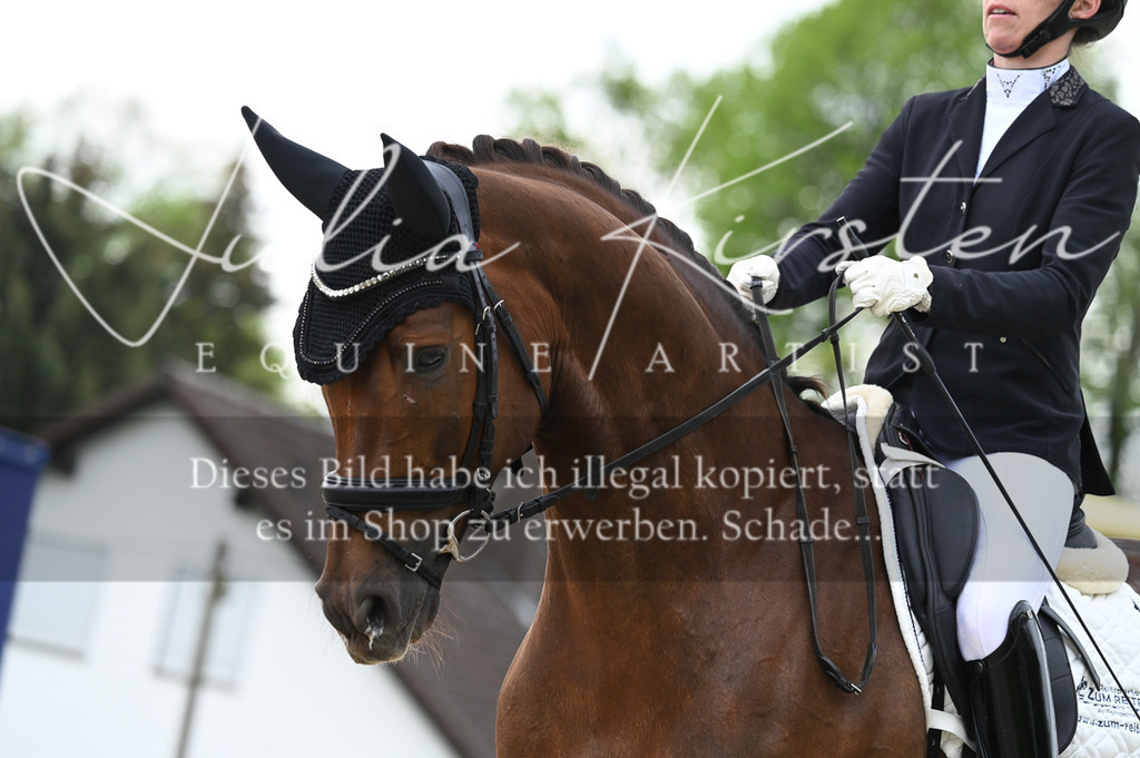 20230512_JK-Röhrsdorf-02-075 | Pferde- und Turnierfotografie in Westsachsen. Pferdeportraits, Auftragszeichnungen und intuitive Kunst.