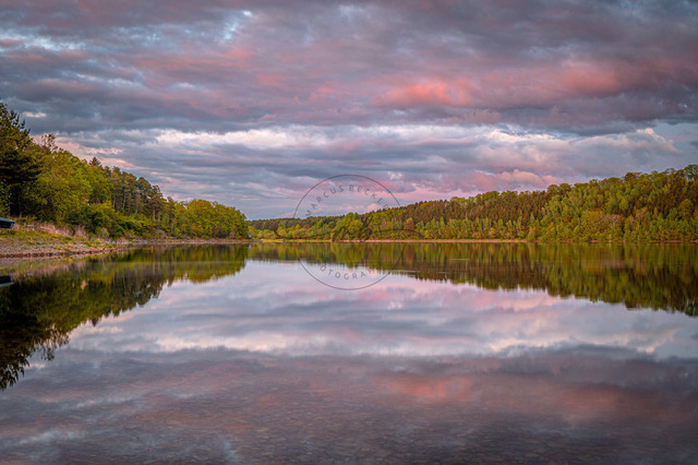 Der Sonnenuntergang spiegelt sich im Zeulenrodaer Meer in Zeulenroda. Wolken sind am Himmel zu sehen. Die Umgebung ist von Bäumen und Natur geprägt | Der Sonnenuntergang spiegelt sich im Zeulenrodaer Meer in Zeulenroda. Wolken sind am Himmel zu sehen. Die Umgebung ist von Bäumen und Natur geprägt. - Realisiert mit Pictrs.com