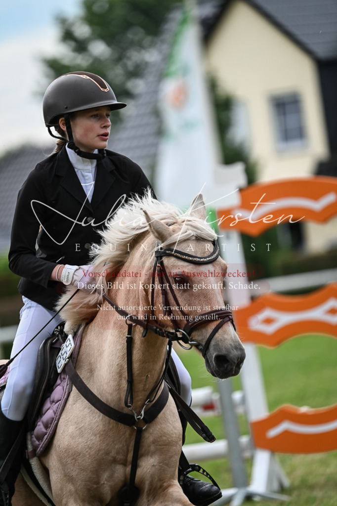 DSC_8610 | Pferde- und Turnierfotografie in Westsachsen. Pferdeportraits, Auftragszeichnungen und intuitive Kunst.