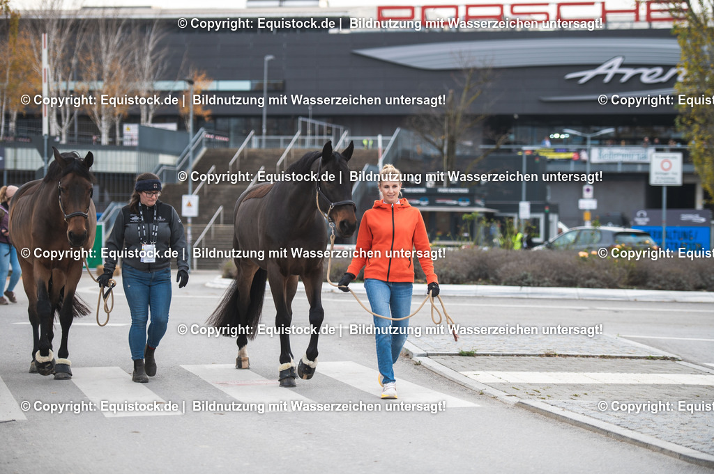 20251114_Jessica-von-Bredow-Werndl_TOMSPIC_0040 | Foto: Thomas Hartig