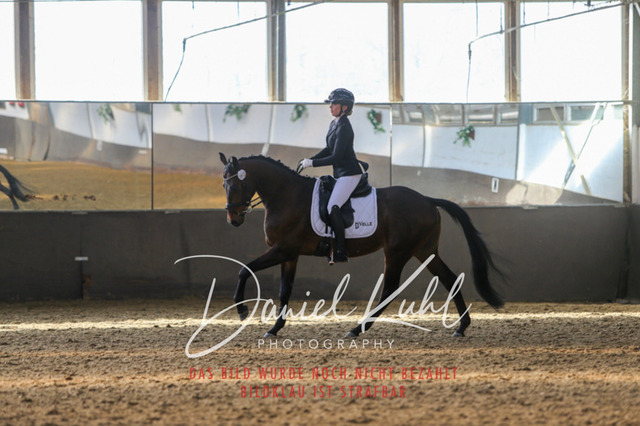 IMG_2225 | Turniersportfotografie; Pferdefotografie; Dressurfotografie