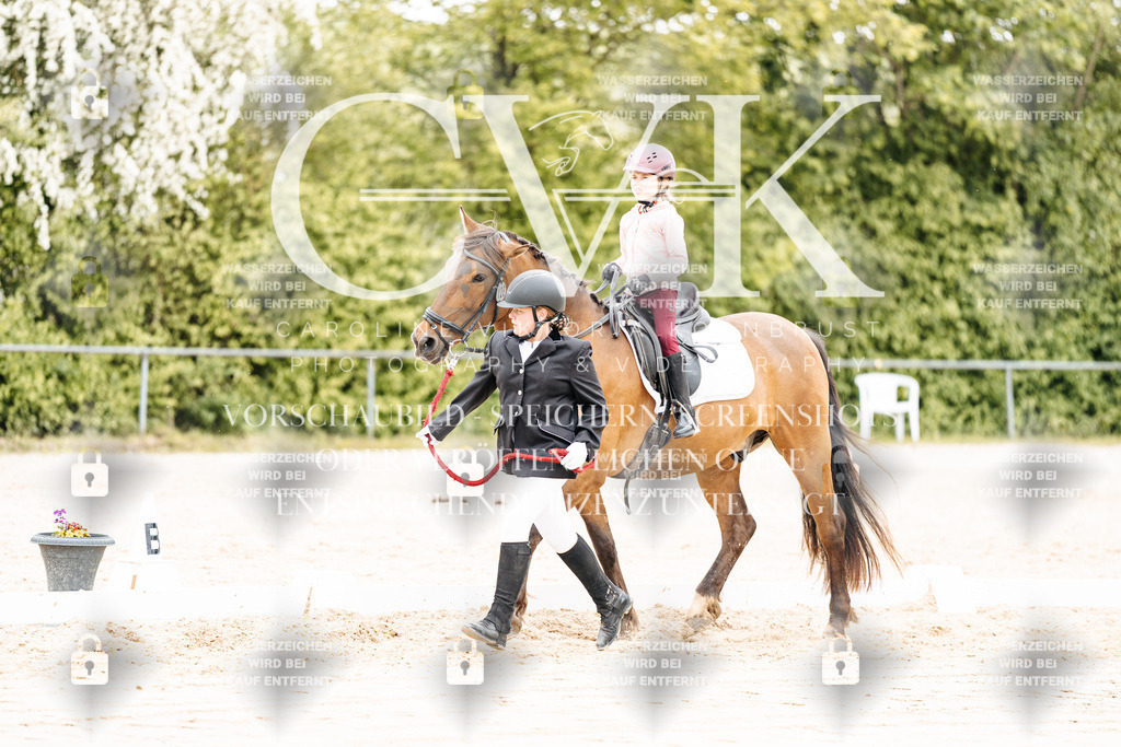 CK903661 | Turnierfotografie Pferdefotografie Trier Rheinland-Pfalz Pferdesport Reitsport Tierfotografie Sportfotografie Pferdevideo Pferdevideografie Equestrianvideography equestrianphotography  - Realisiert mit Pictrs.com