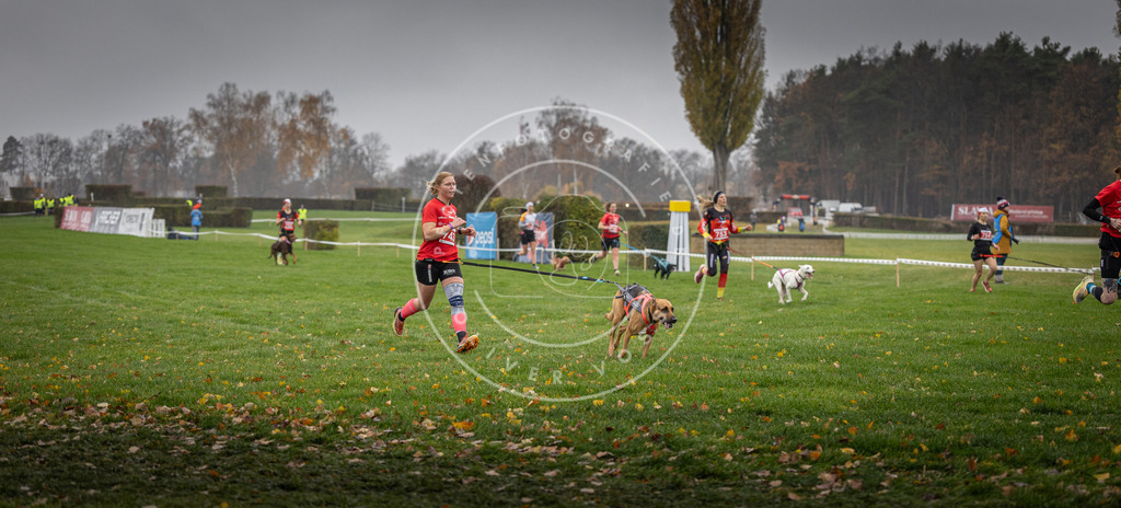 CaniXpix_DV3A8871 | Hundefotografie, Tierfotograf, Pfotenfotografie, Fotoshooting Hund, Hunde Portrait, Hundesport, Hundeportraits, Heideshooting, Hunde, Sportfotograf, Hundefotograf, Turnierhundsport, THS,  - Realisiert mit Pictrs.com
