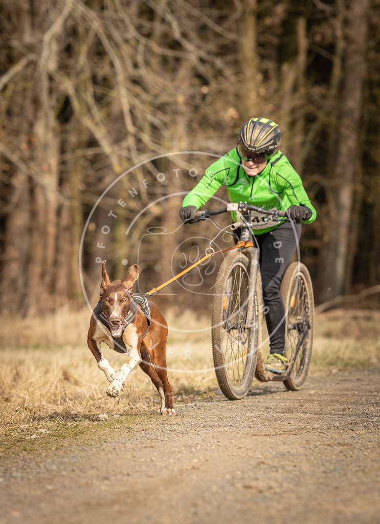 DV3A4788 | Hundefotografie, Tierfotograf, Pfotenfotografie, Fotoshooting Hund, Hunde Portrait, Hundesport, Hundeportraits, Heideshooting, Hunde, Sportfotograf, Hundefotograf, Turnierhundsport, THS,  - Realisiert mit Pictrs.com