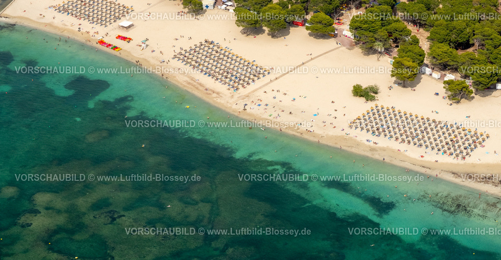 Mallorca230600195N | Luftbild, Sonnenliegen und Sonnenschirme in Reih und Glied am Platja de Santa PonÃƒÆ’Ã‚Â§a, Strand Santa Ponsa, Calvia, Balearen, Mallorca, Balearische Inseln, Spanien