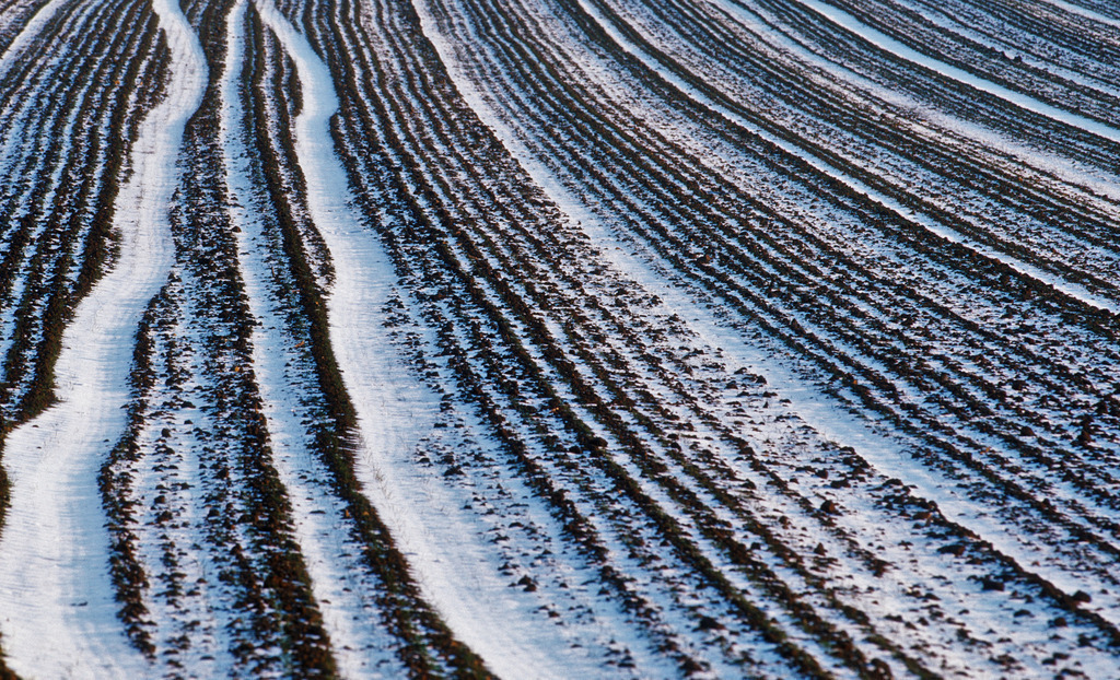 Fahrspuren im verschneiten Acker | Enzersfeld, Austria: Fahrspuren im verschneiten Acker. - Realisiert mit Pictrs.com