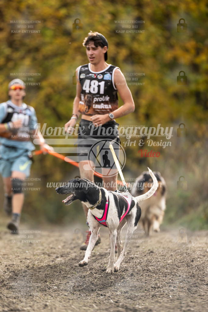 MompixPhotography_ICF_WC_2024_SA_Run_-515 | PayLife