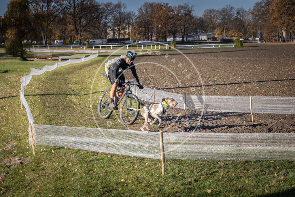 CaniXpix_DV3A2841 | Hundefotografie, Tierfotograf, Pfotenfotografie, Fotoshooting Hund, Hunde Portrait, Hundesport, Hundeportraits, Heideshooting, Hunde, Sportfotograf, Hundefotograf, Turnierhundsport, THS,  - Realisiert mit Pictrs.com