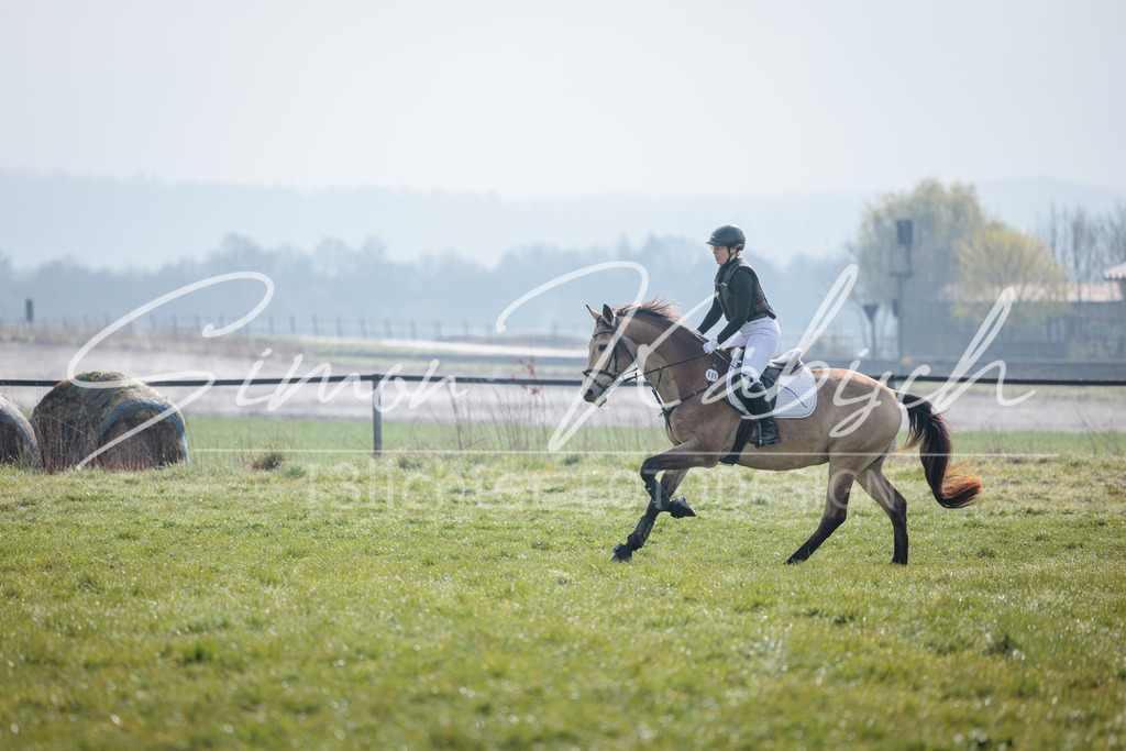 20260329-_3LI3602 | Tierfotografie Pferde, Hunde, Katzen, Haustiere.
Turnierfotografie Reitturniere, Reiten, Springreiten, Dressur in Hanau, dem Main-Kinzig-Kreis und dem Rhein-Main- Gebiet um Frankfurt