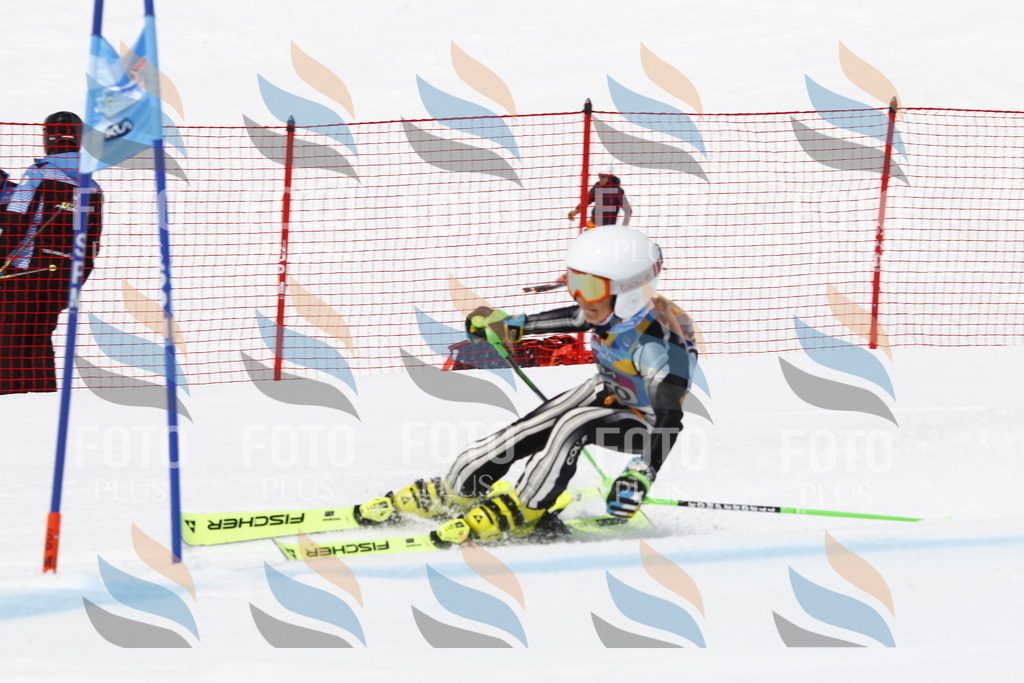 _U3G6329 | holidayphoto