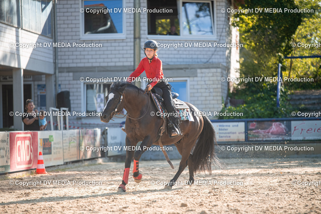 EWP_7133 | dv-media-shop - Realisiert mit Pictrs.com