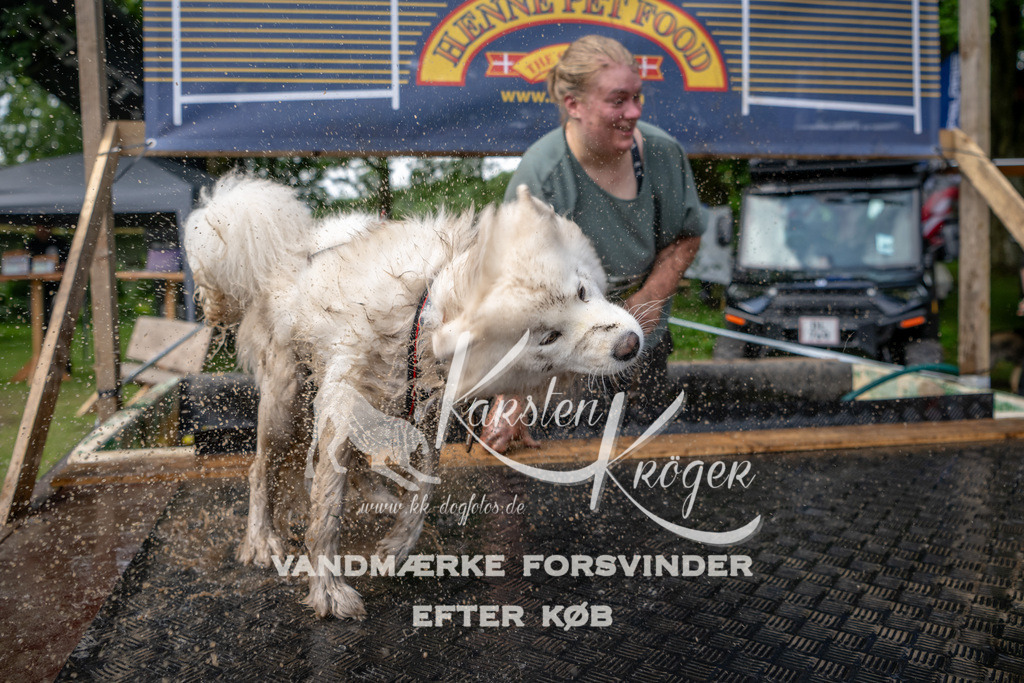 1110_ZZ92955 | kk-dogfotos