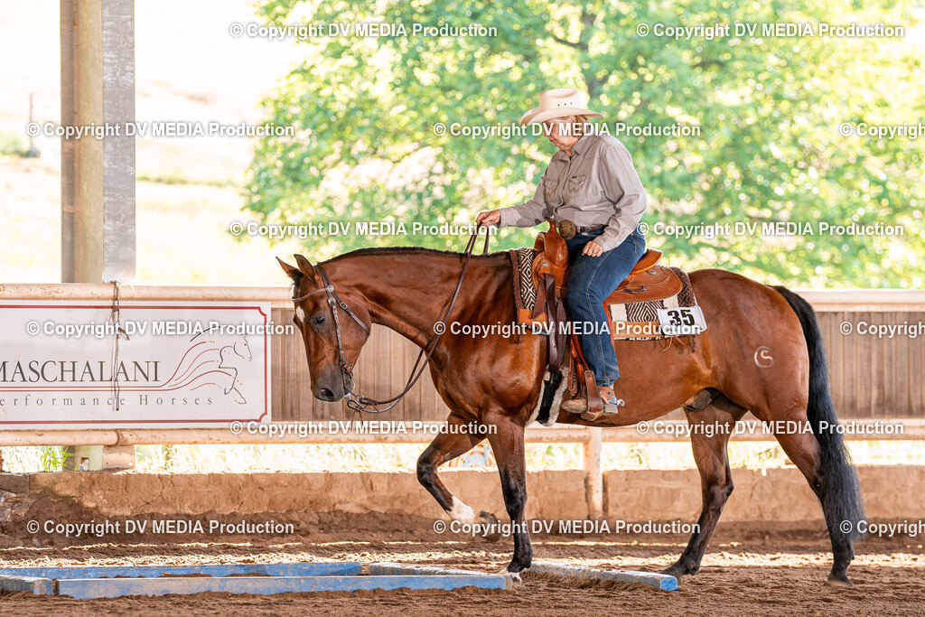 Erbach Tag 2-75 | dv-media-shop - Realisiert mit Pictrs.com