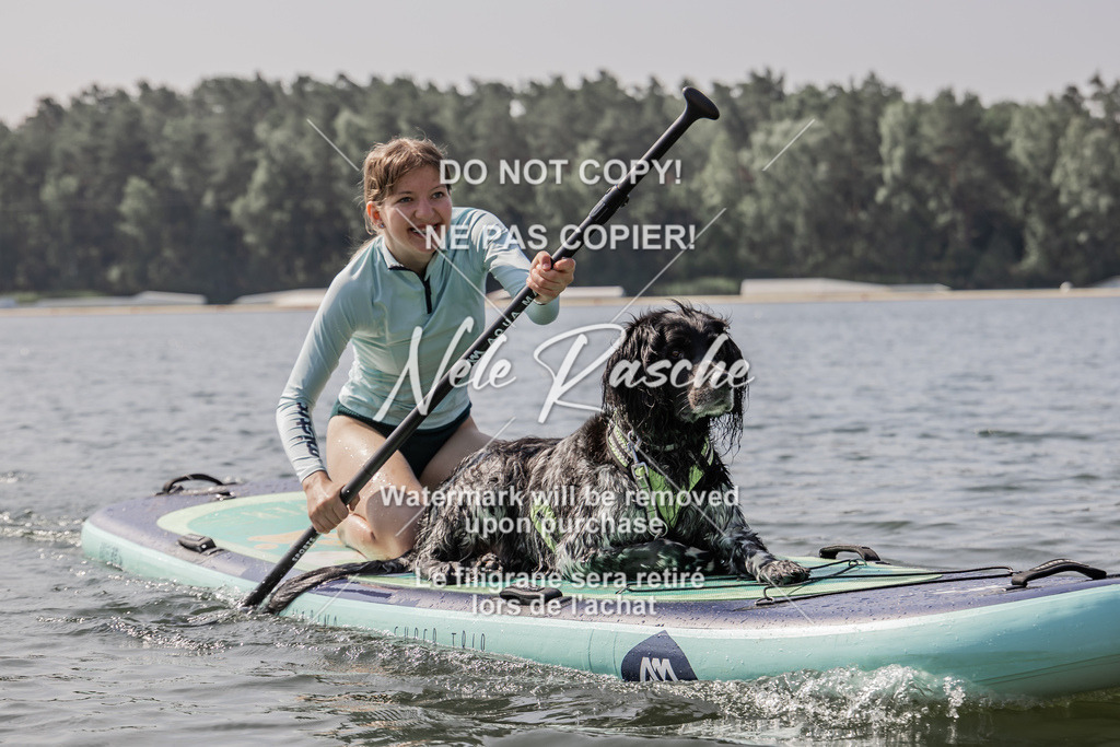 BUHU_SUP_393 | nelerasche