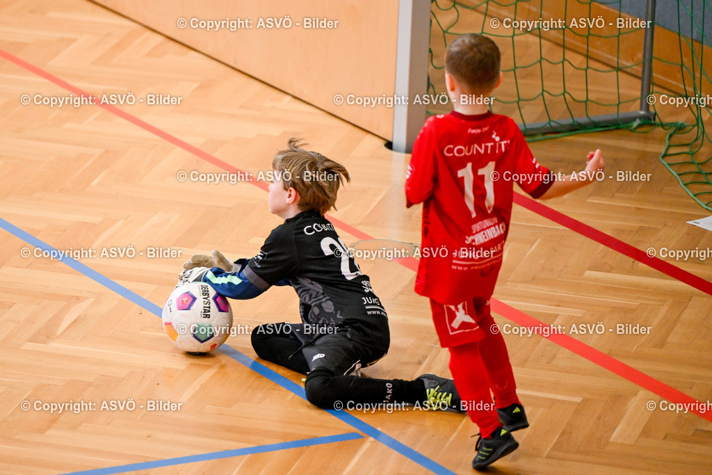ASVÖ_ Fussball Nachwuchs Hallenturnier 2026_ SV Gallneukirchen_ 28.02.2026-321 | 28.02.2026, Gallneukirchen, AUT, ASVÖ, Fussball Nachwuchs Hallenturnier 2026, SV Gallneukirchen im Bild Teilnehmer U7©Harald Dostal / fodo.media - Realisiert mit Pictrs.com