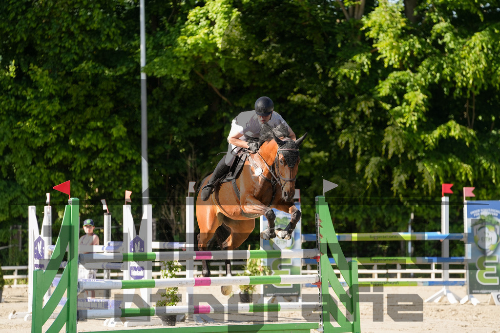 DSC02471 | Julian Held Fotografie - Realisiert mit Pictrs.com